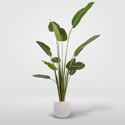 Banana - Strelitzia kunstplant