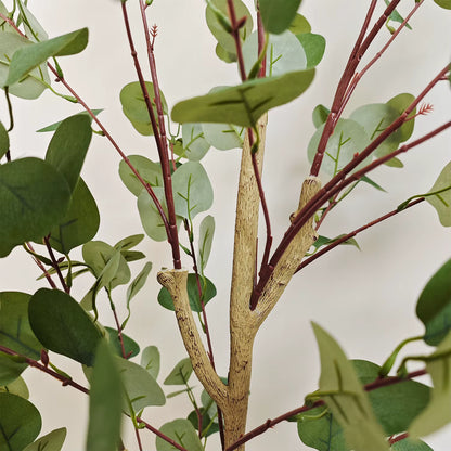 Eucalyptus – Kunstplant