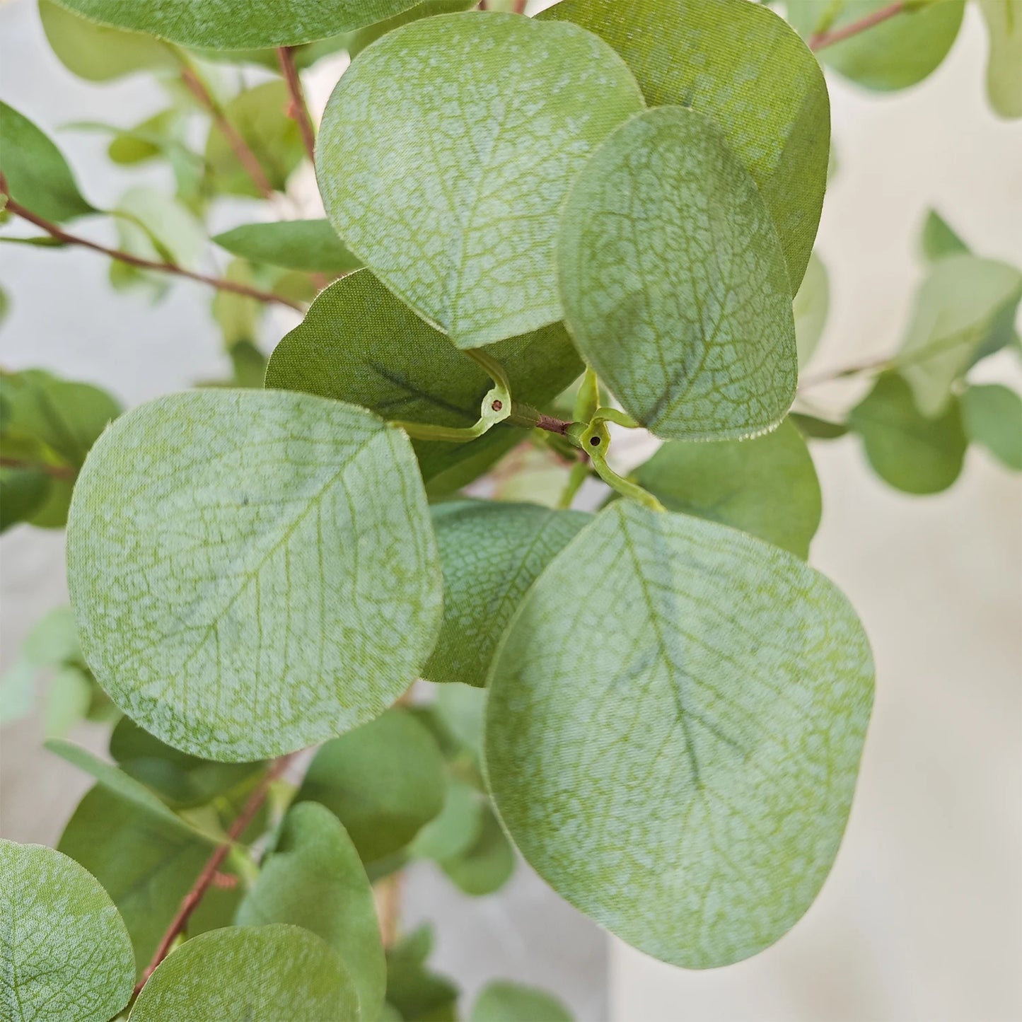 Eucalyptus – Kunstplant