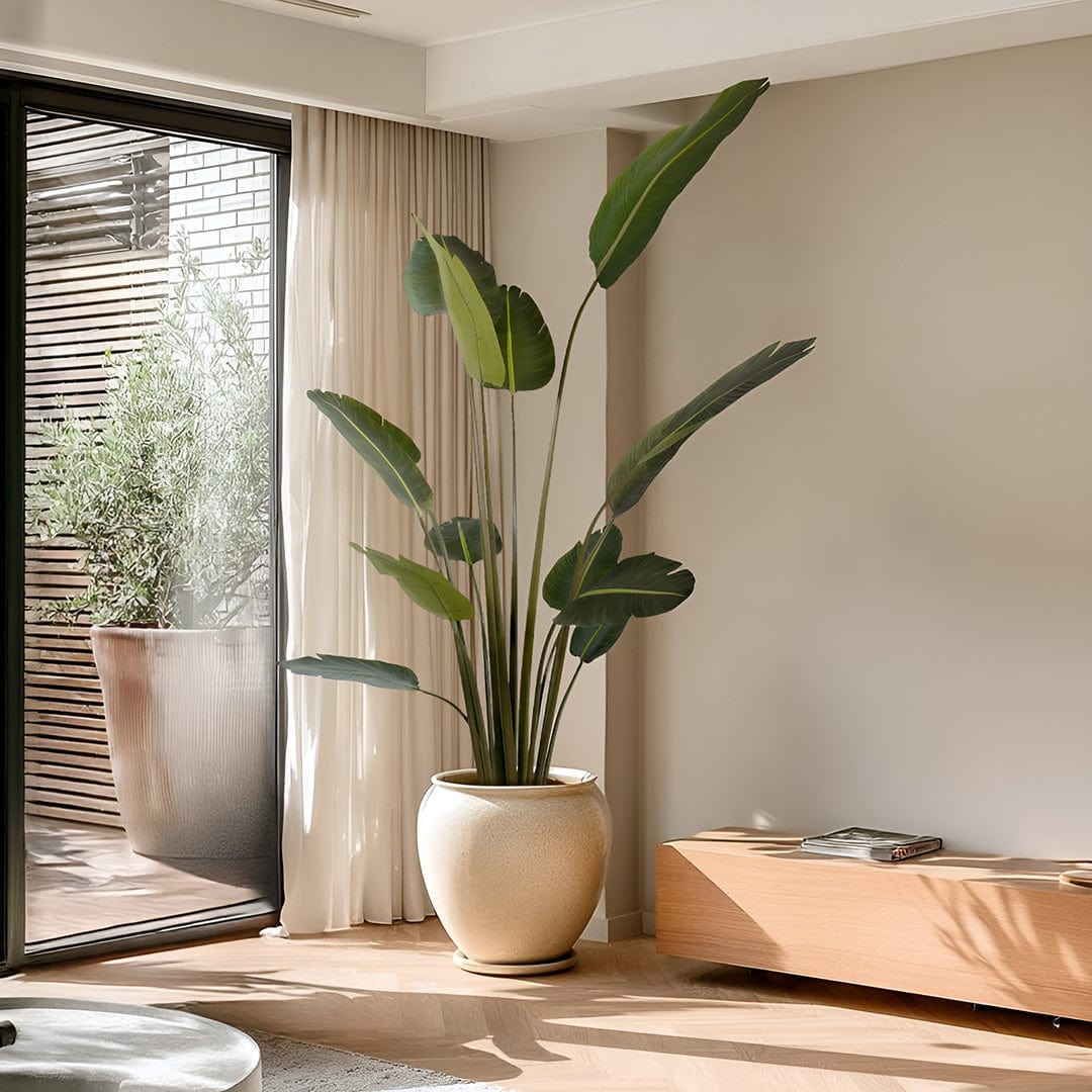 Banana - Strelitzia kunstplant