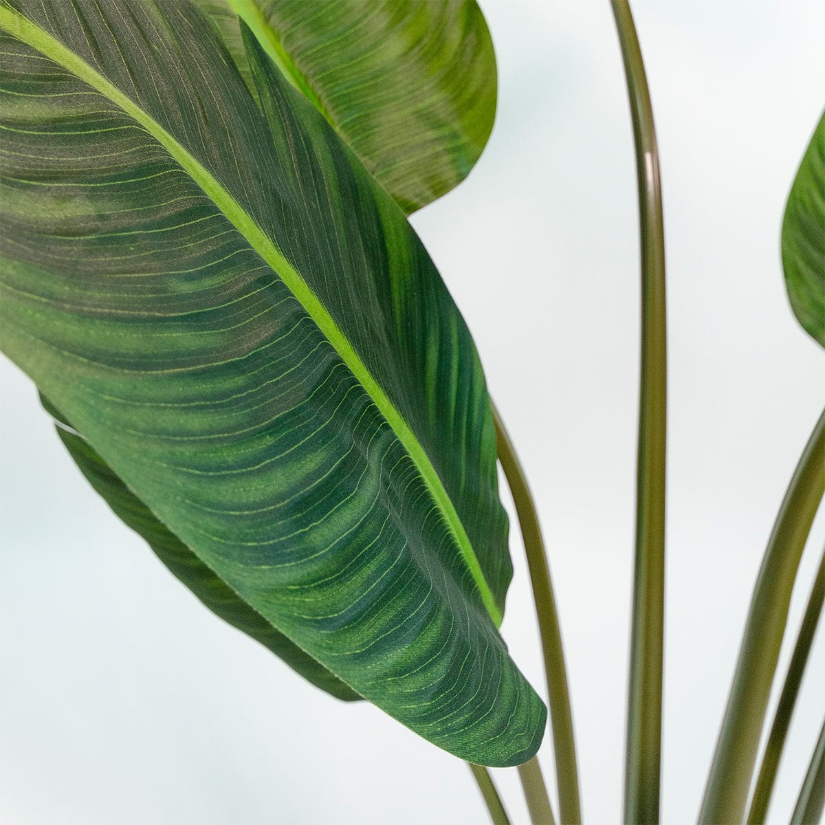 Banana - Strelitzia kunstplant