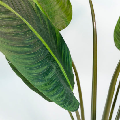 Banana - Strelitzia kunstplant