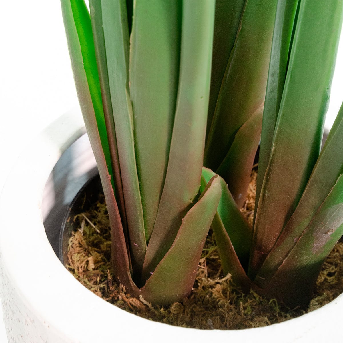 Banana - Strelitzia kunstplant